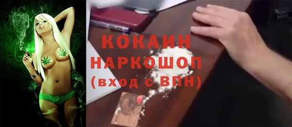 шишки Володарск