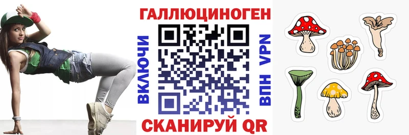 Псилоцибиновые грибы мицелий  ОМГ ОМГ маркетплейс  Дзержинск  дарнет шоп 